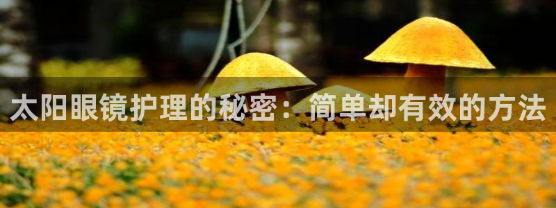 新宝5登录霸