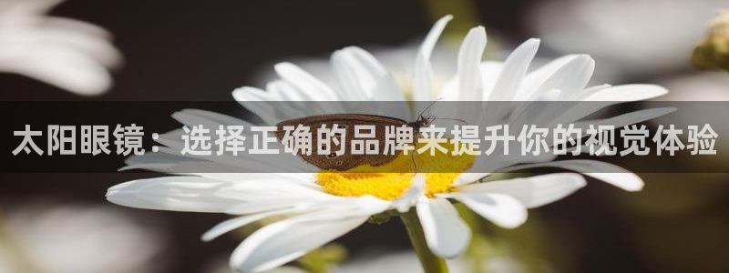 新宝5 代理