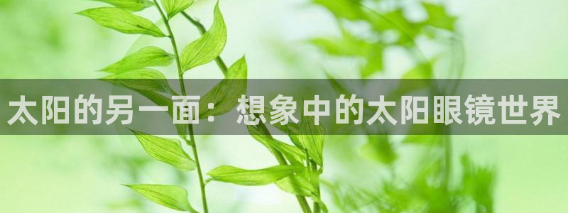 新宝5玩法