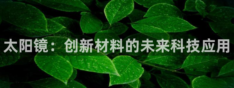 新宝5娱乐注