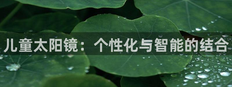 新宝5软件下载