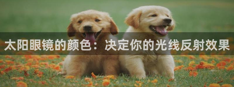 新宝5下载到桌面