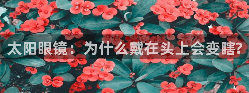 新宝5测试
