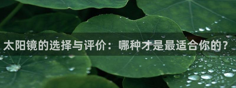 新宝那2O5O5O
