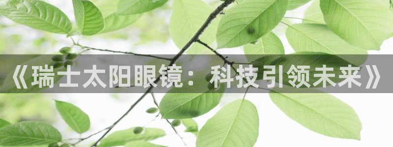 新宝5是谁