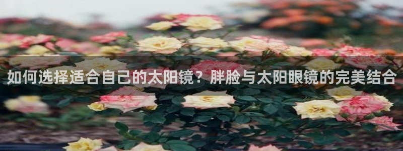 新宝5球维33 300
