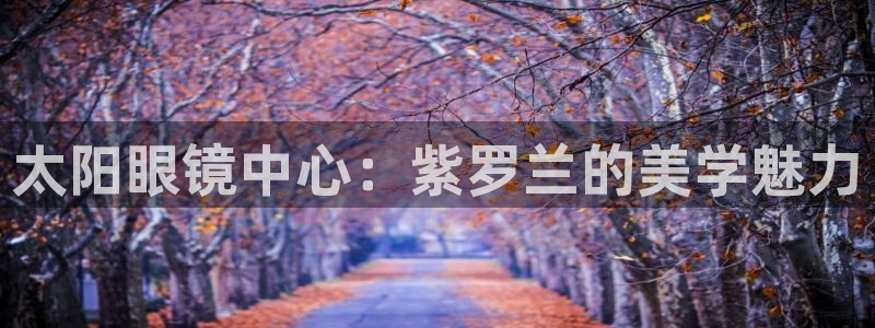 新宝5娱乐家