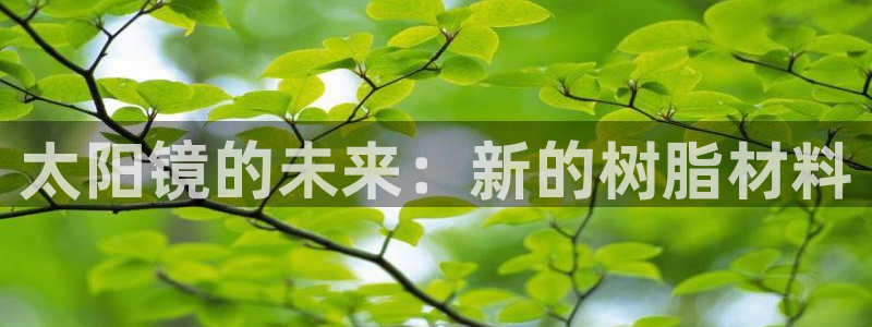 新宝5网