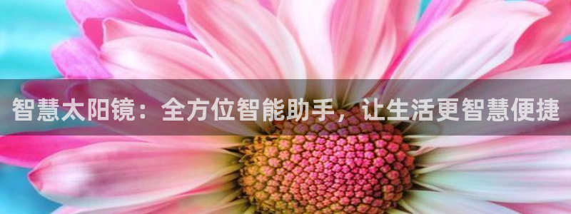 新宝5日740005蔻