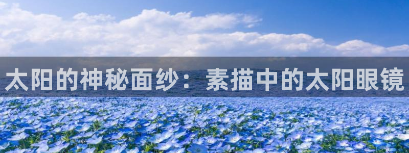 新宝5app