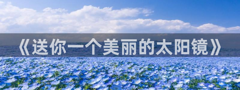 新宝5招商222111