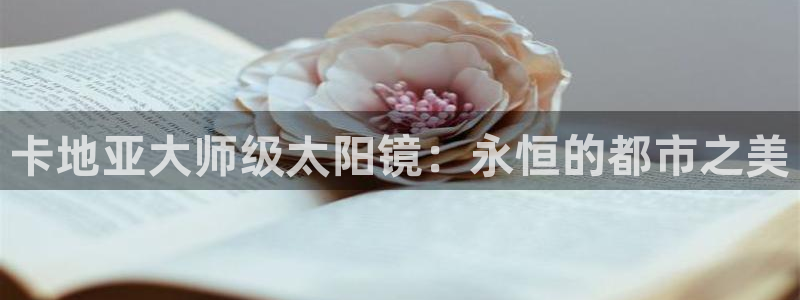 新宝5如何下载