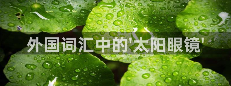 新宝5测试