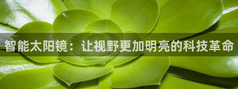 新宝娱乐5入口