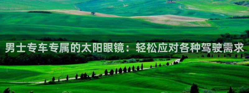 新宝堂新会陈皮5年