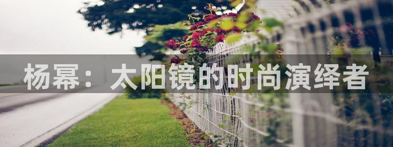 新宝5是什么样子的