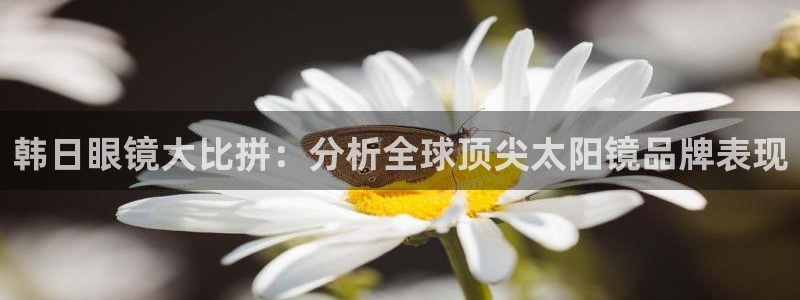 新宝5怎么代理
