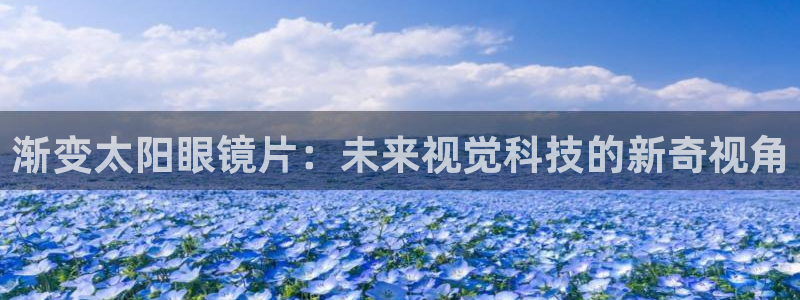 菲律宾新宝5老板
