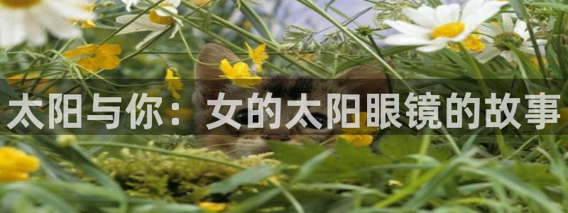 新宝5授权