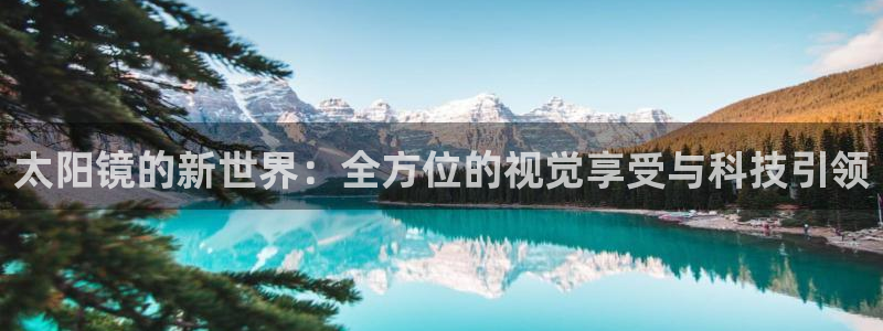 新宝5测速登陆