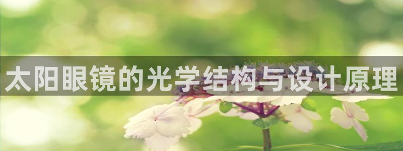 新宝5是谁的