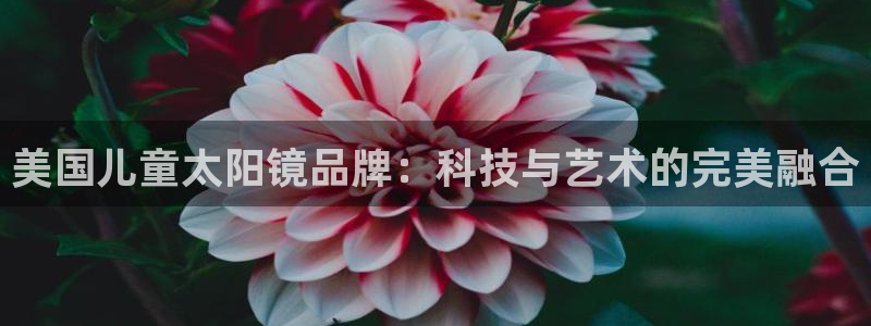 新宝5官网霸