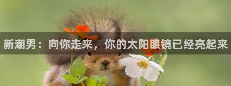 新宝那2O5O5O