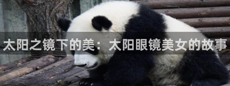 新宝5口67五壹叁八