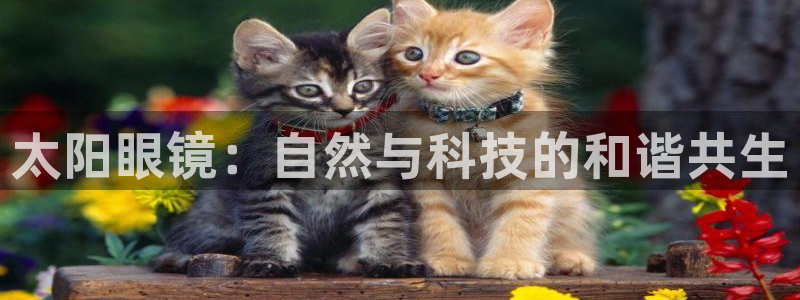 新宝5下载到桌面