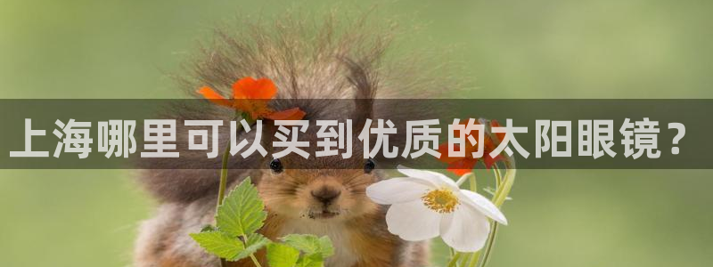 新宝5 - 测速登陆