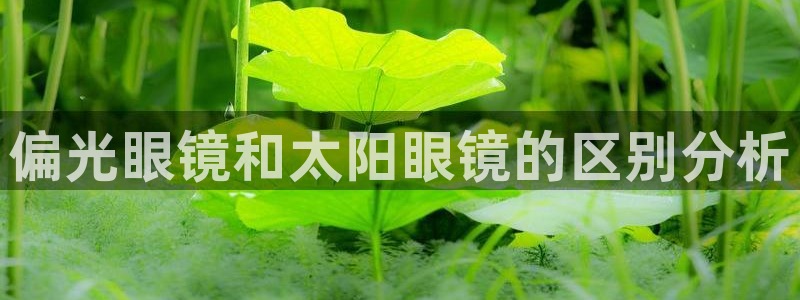 新宝5什么时候上市